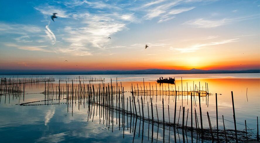 albufera