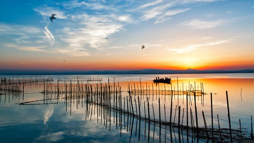 albufera